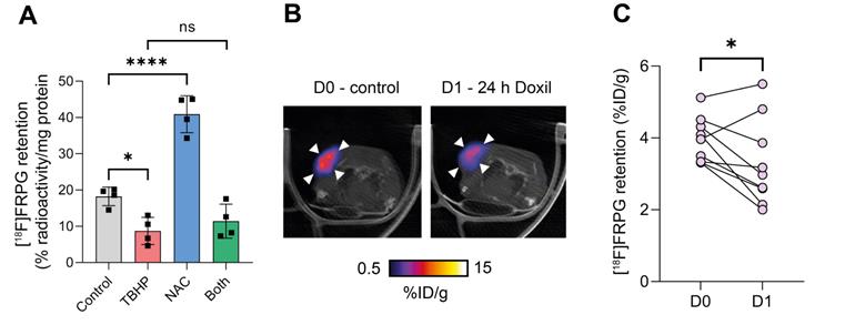 Theranostics Image