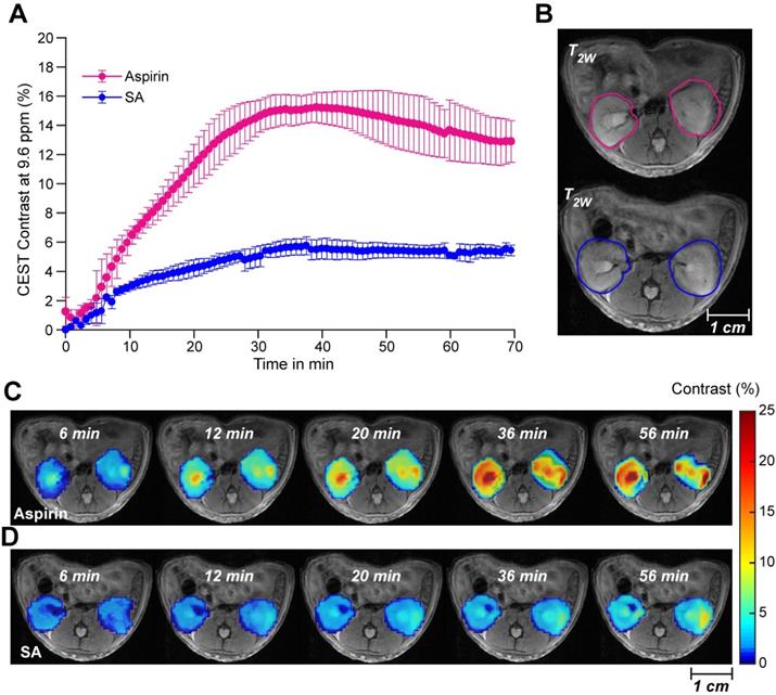 Theranostics Image