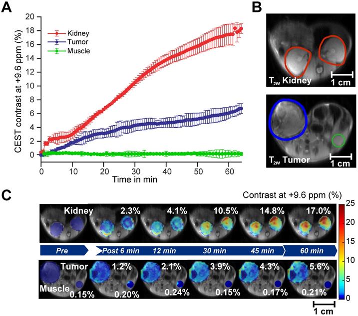 Theranostics Image