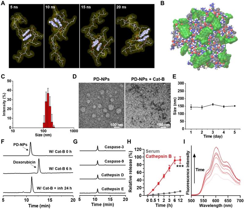 Theranostics Image