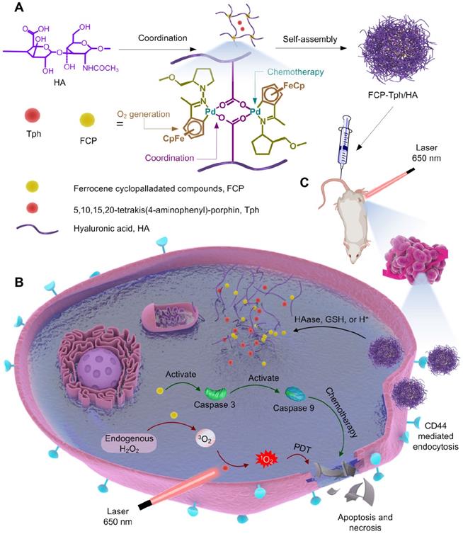 Theranostics Image