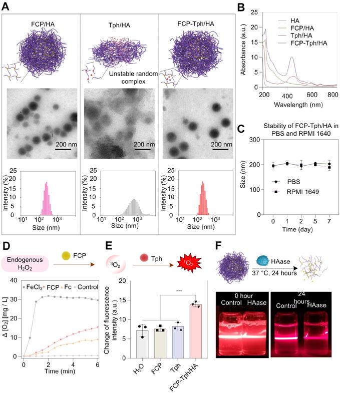 Theranostics Image