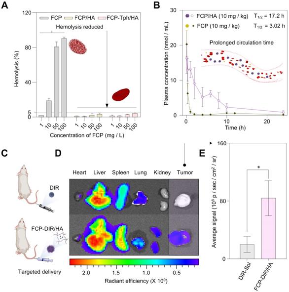 Theranostics Image