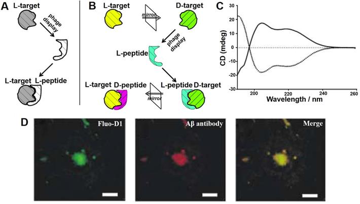 Theranostics Image