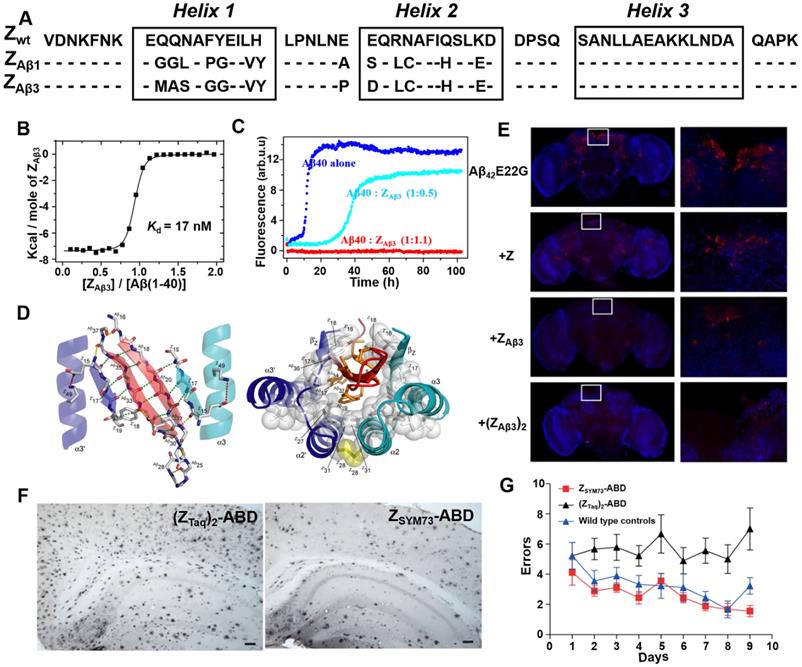 Theranostics Image