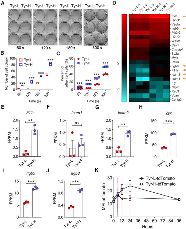 Theranostics Image