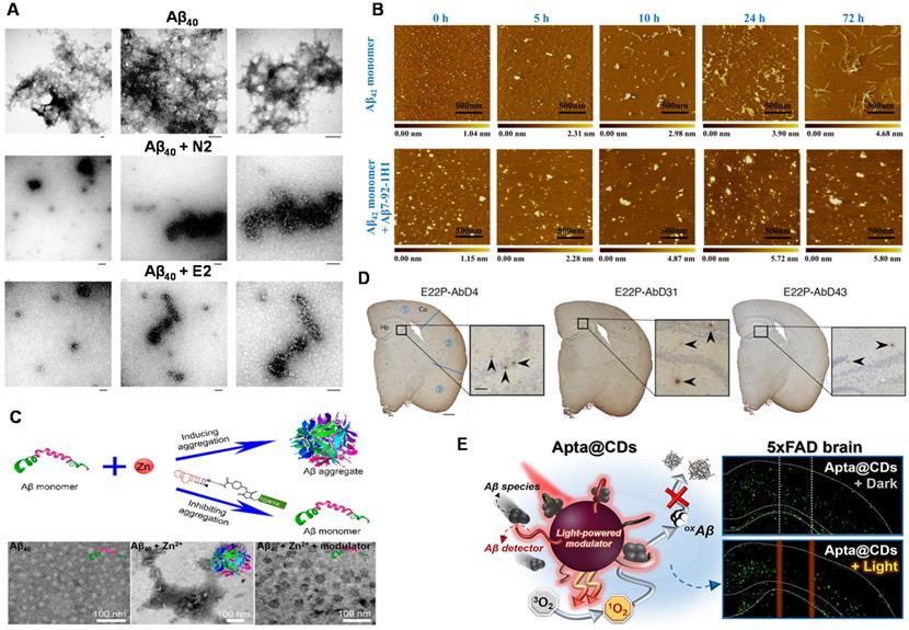 Theranostics Image