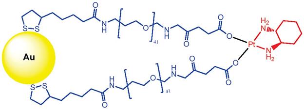 Theranostics Image