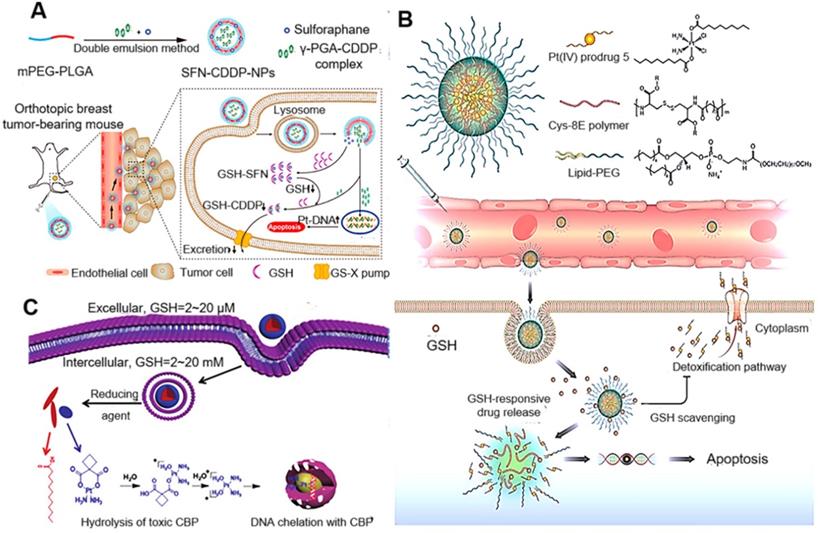 Theranostics Image