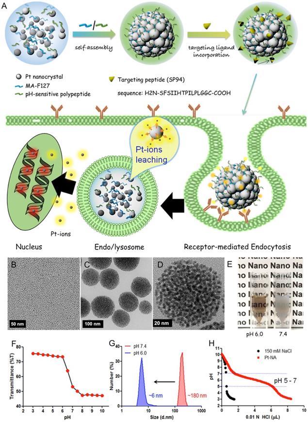 Theranostics Image