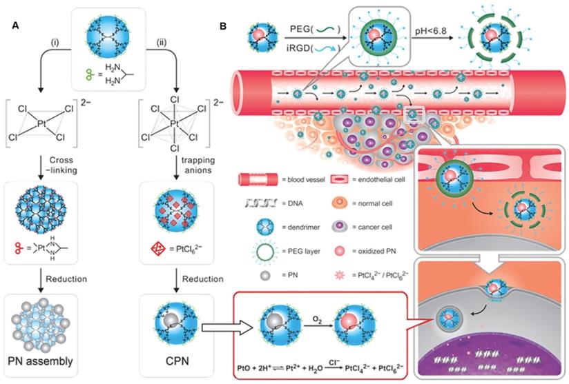 Theranostics Image