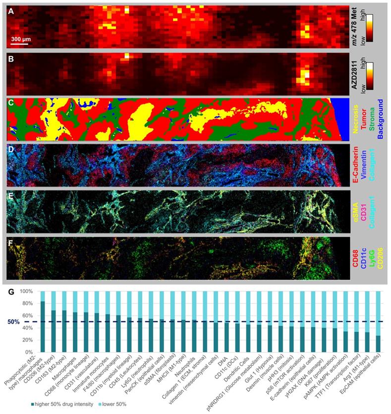 Theranostics Image