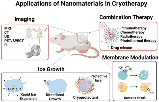 Theranostics Image