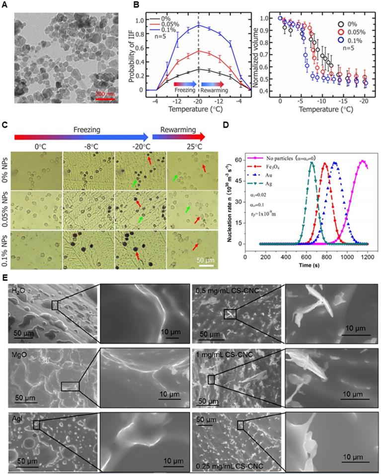 Theranostics Image