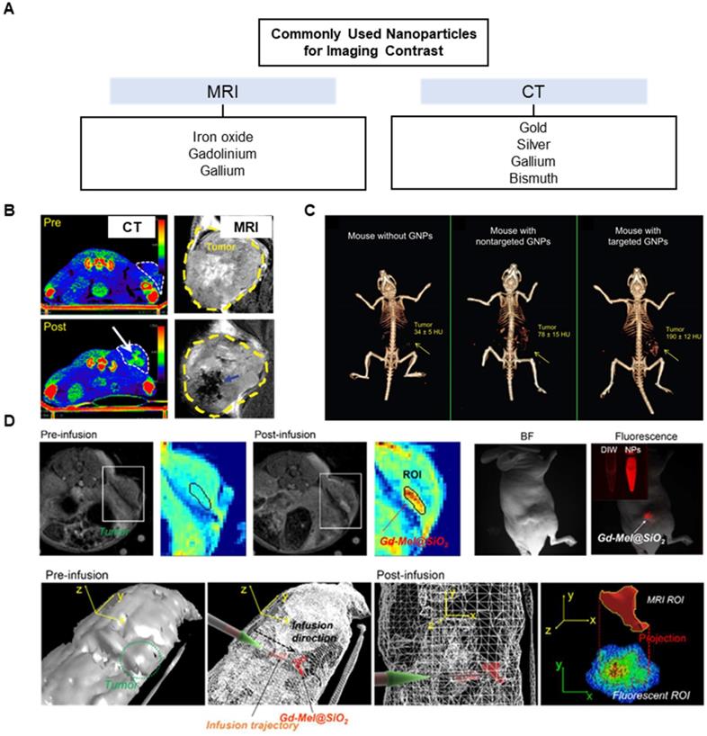 Theranostics Image