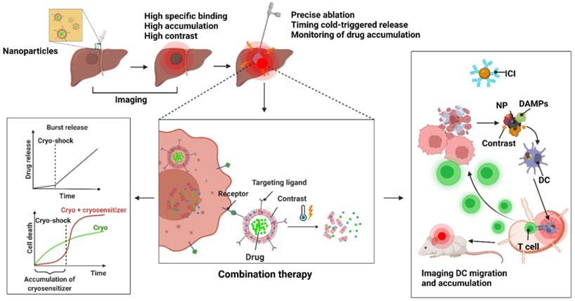 Theranostics Image