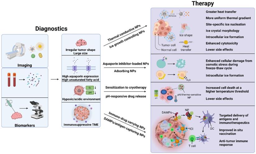 Theranostics Image