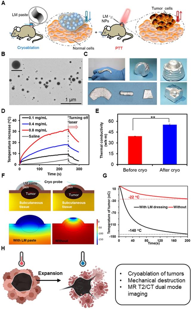 Theranostics Image