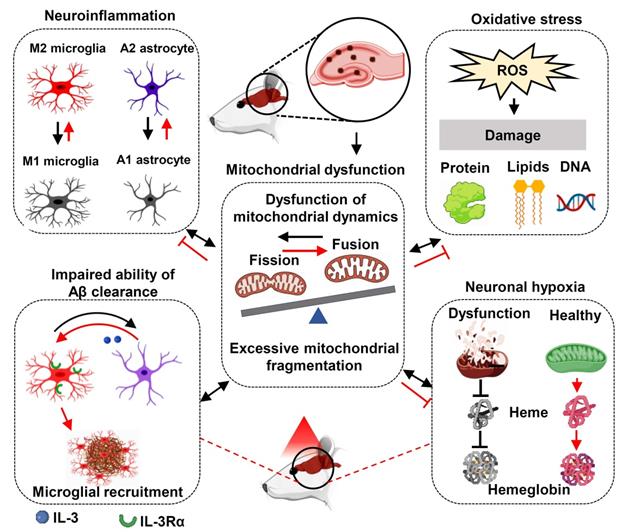 Theranostics Image