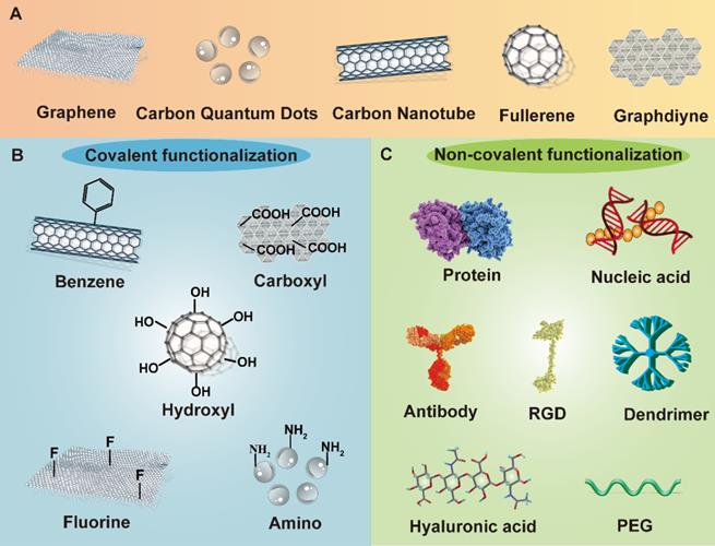 Theranostics Image