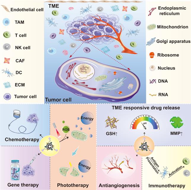 Theranostics Image