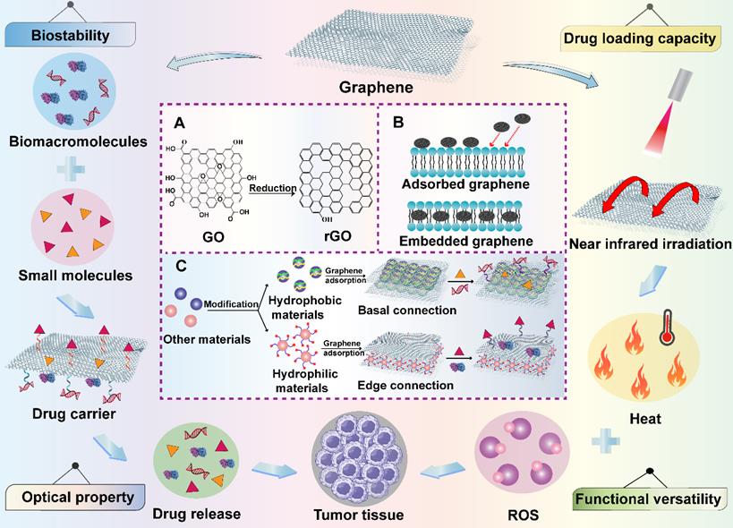 Theranostics Image