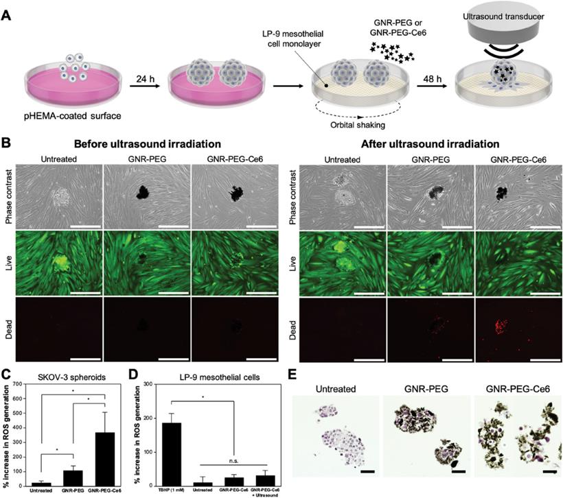 Theranostics Image