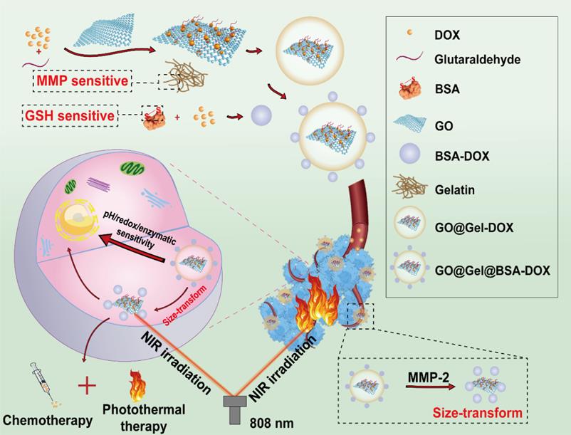 Theranostics Image