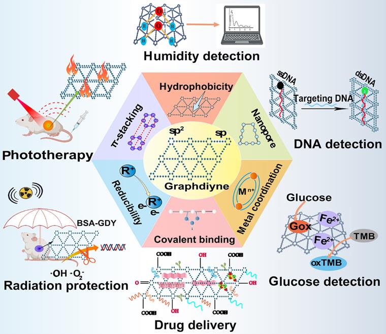 Theranostics Image