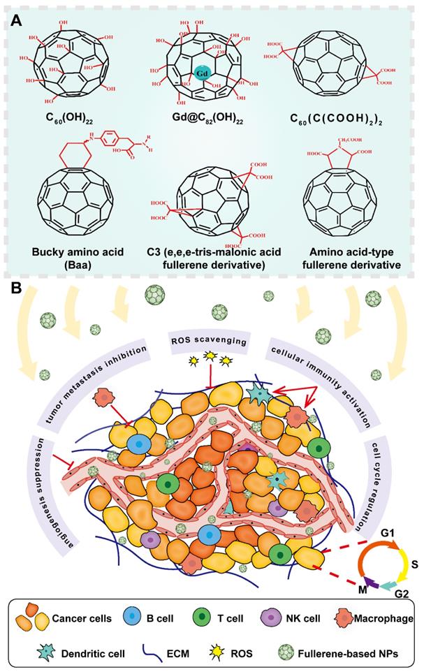 Theranostics Image