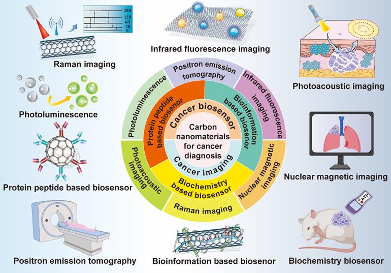 Theranostics Image