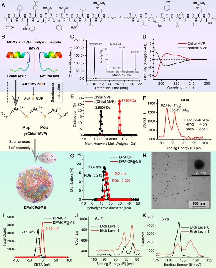 Theranostics Image