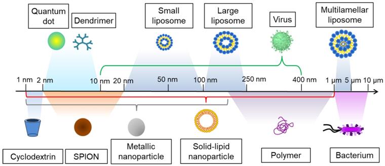 Theranostics Image