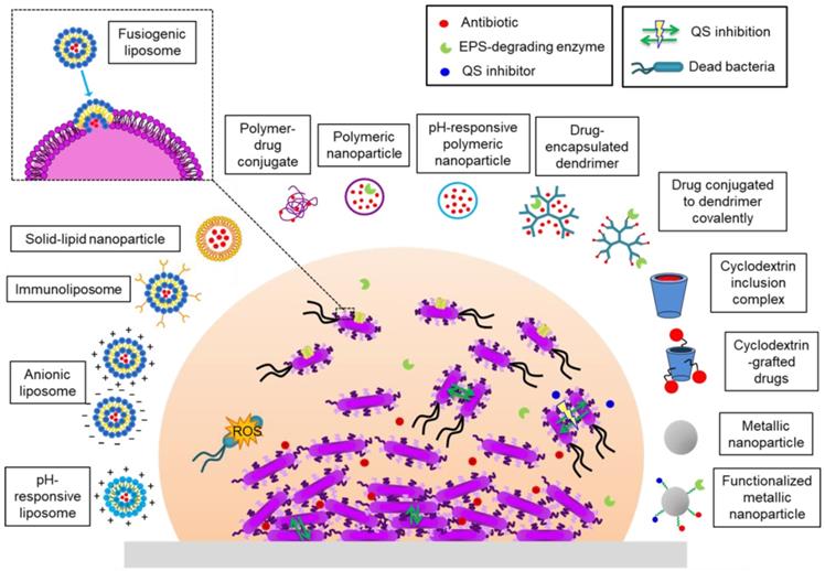 Theranostics Image