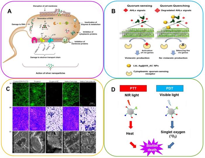 Theranostics Image