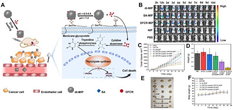 Theranostics Image