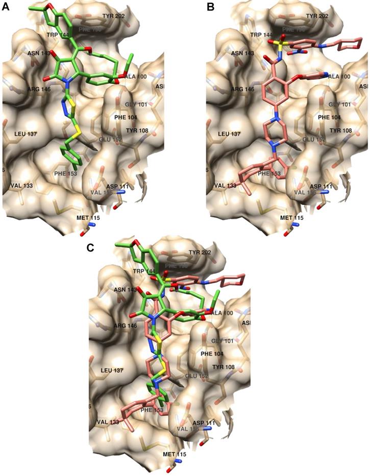 Theranostics Image