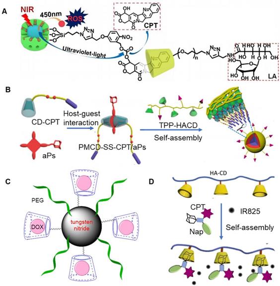 Theranostics Image