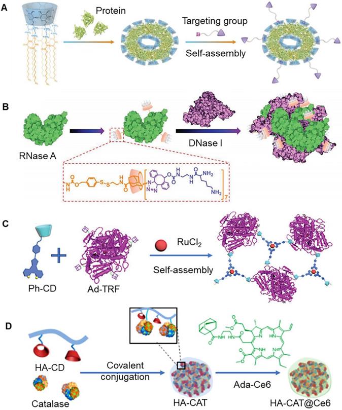 Theranostics Image