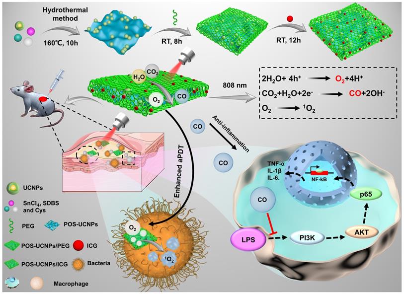 Theranostics Image