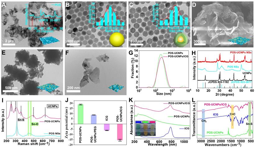 Theranostics Image