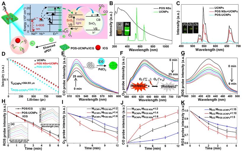 Theranostics Image