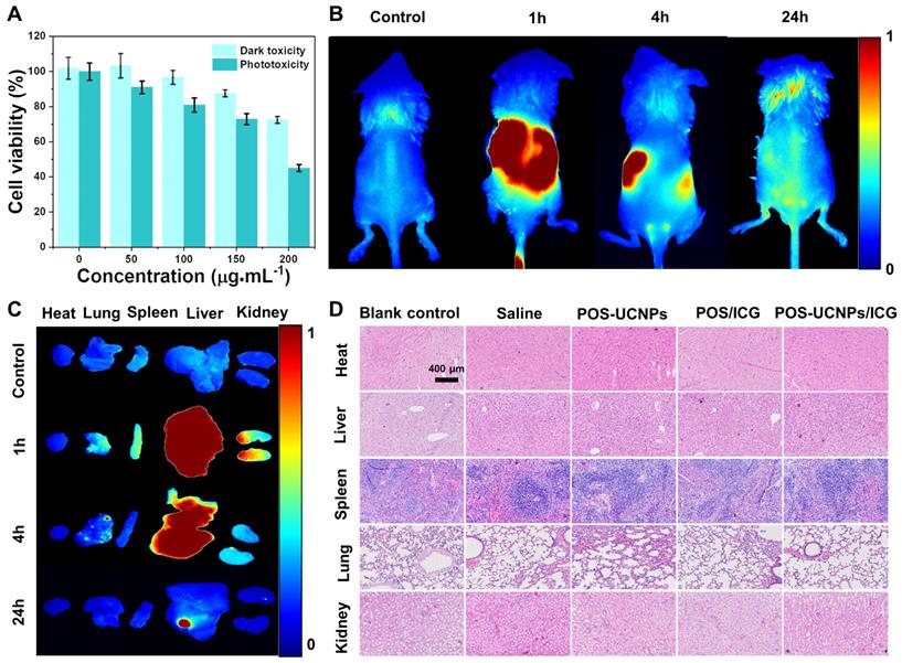 Theranostics Image