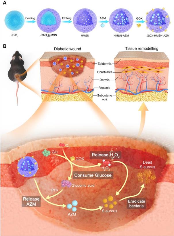 Theranostics Image