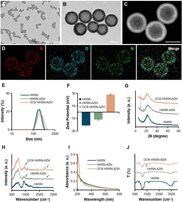 Theranostics Image