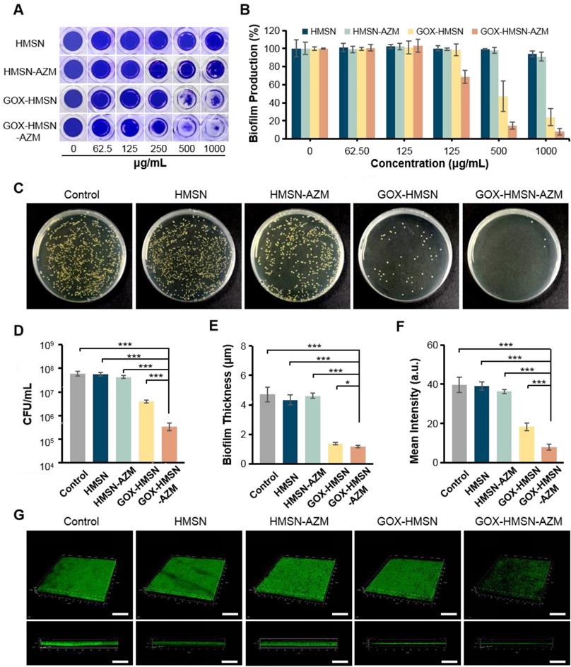 Theranostics Image