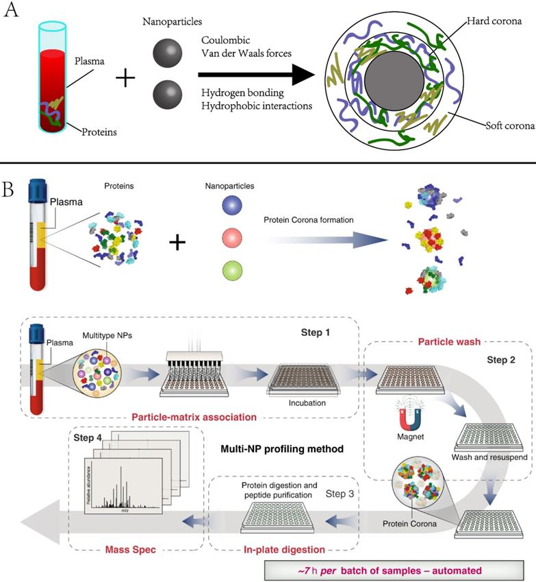 Theranostics Image