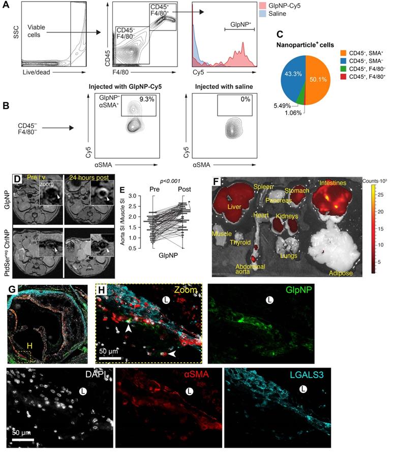 Theranostics Image