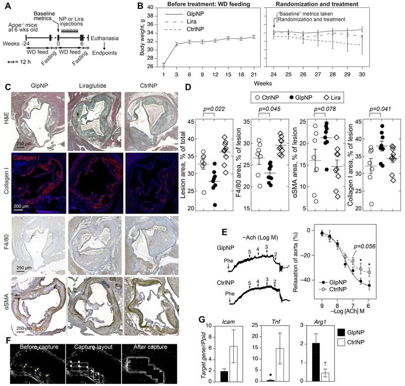 Theranostics Image