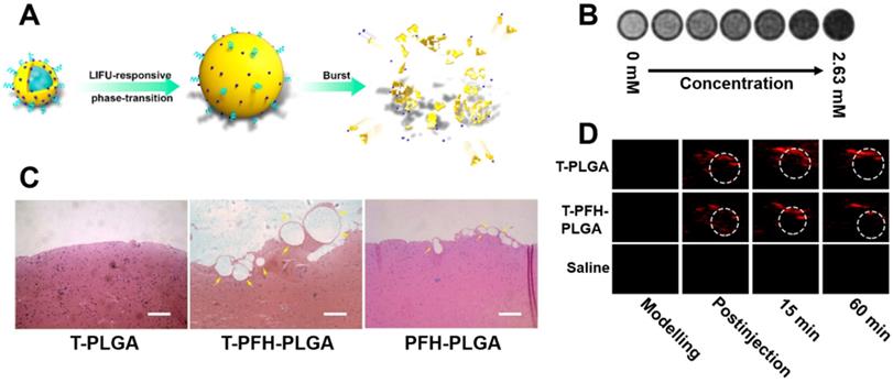 Theranostics Image